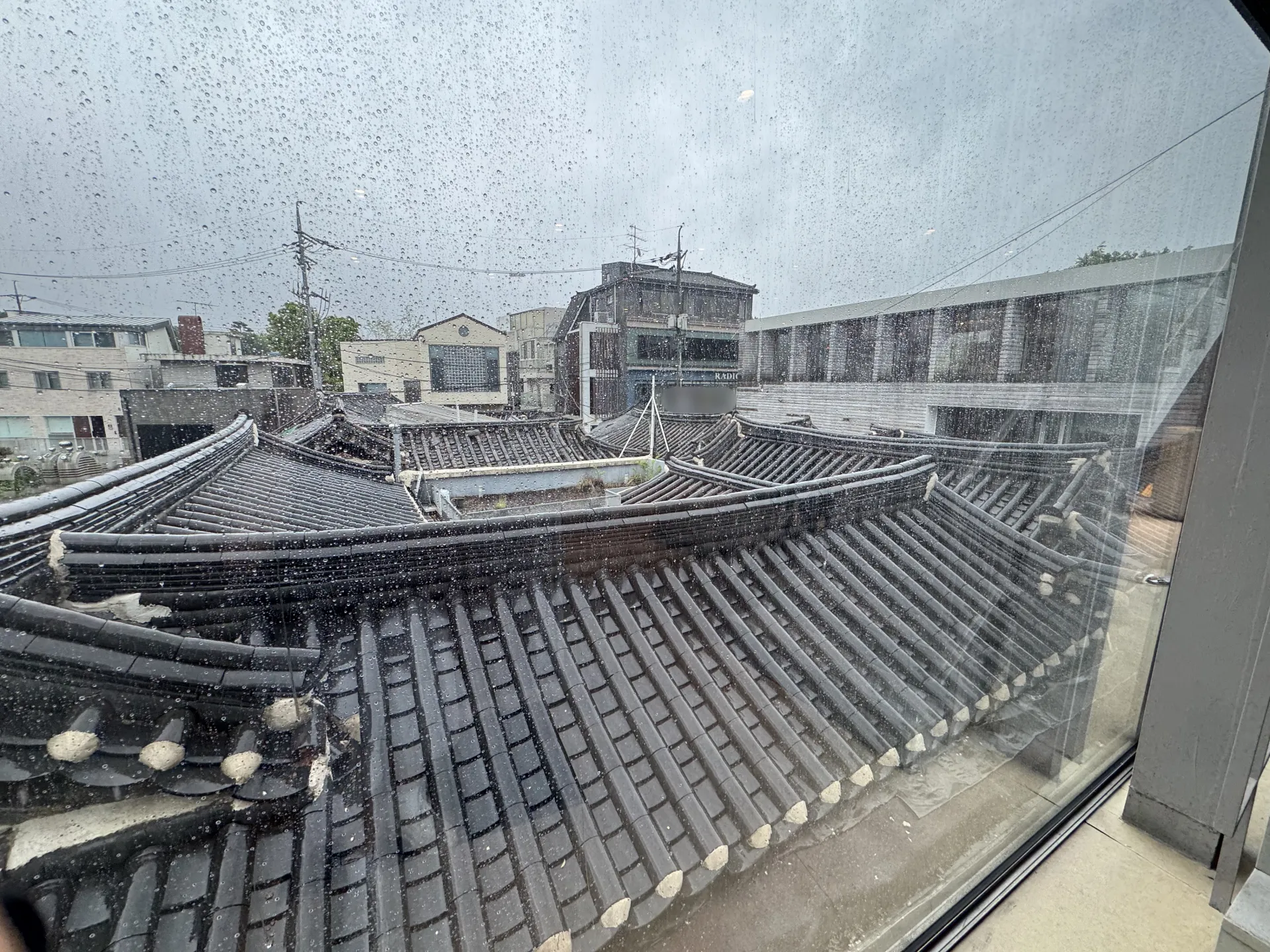 IMG_3849.jpeg.webp