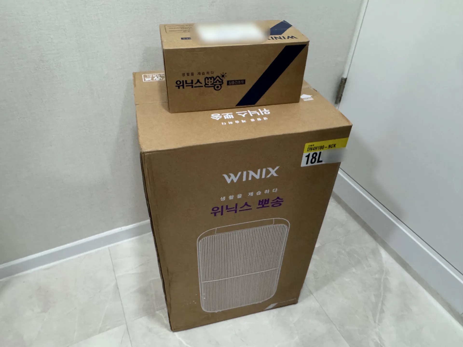 IMG_4082.jpeg.webp