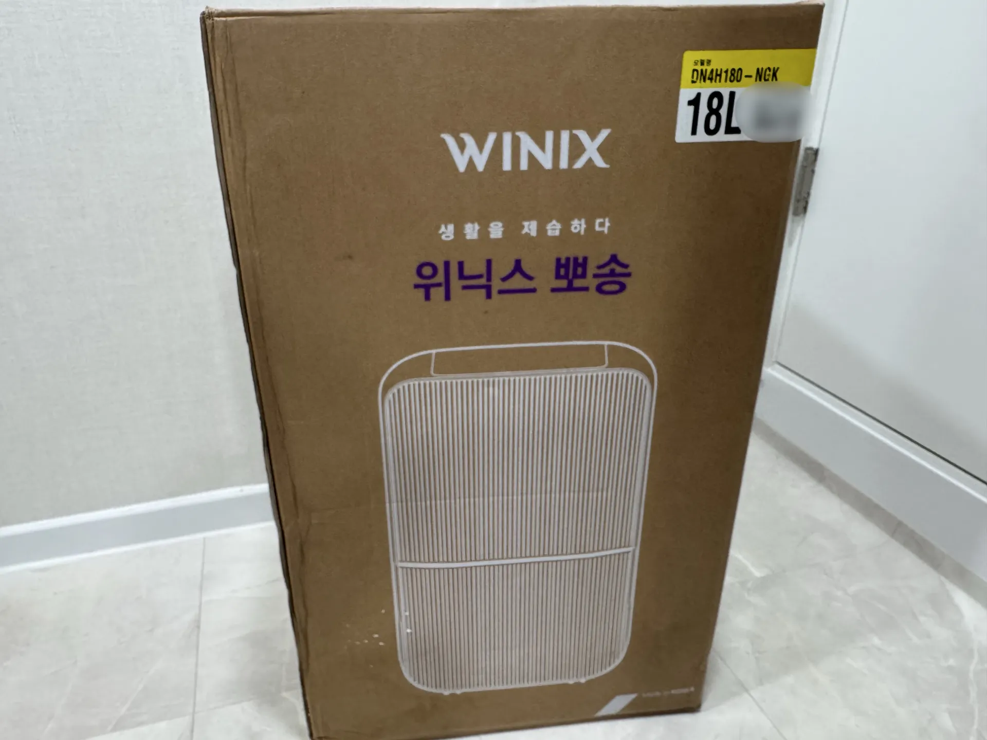 IMG_4084.jpeg.webp
