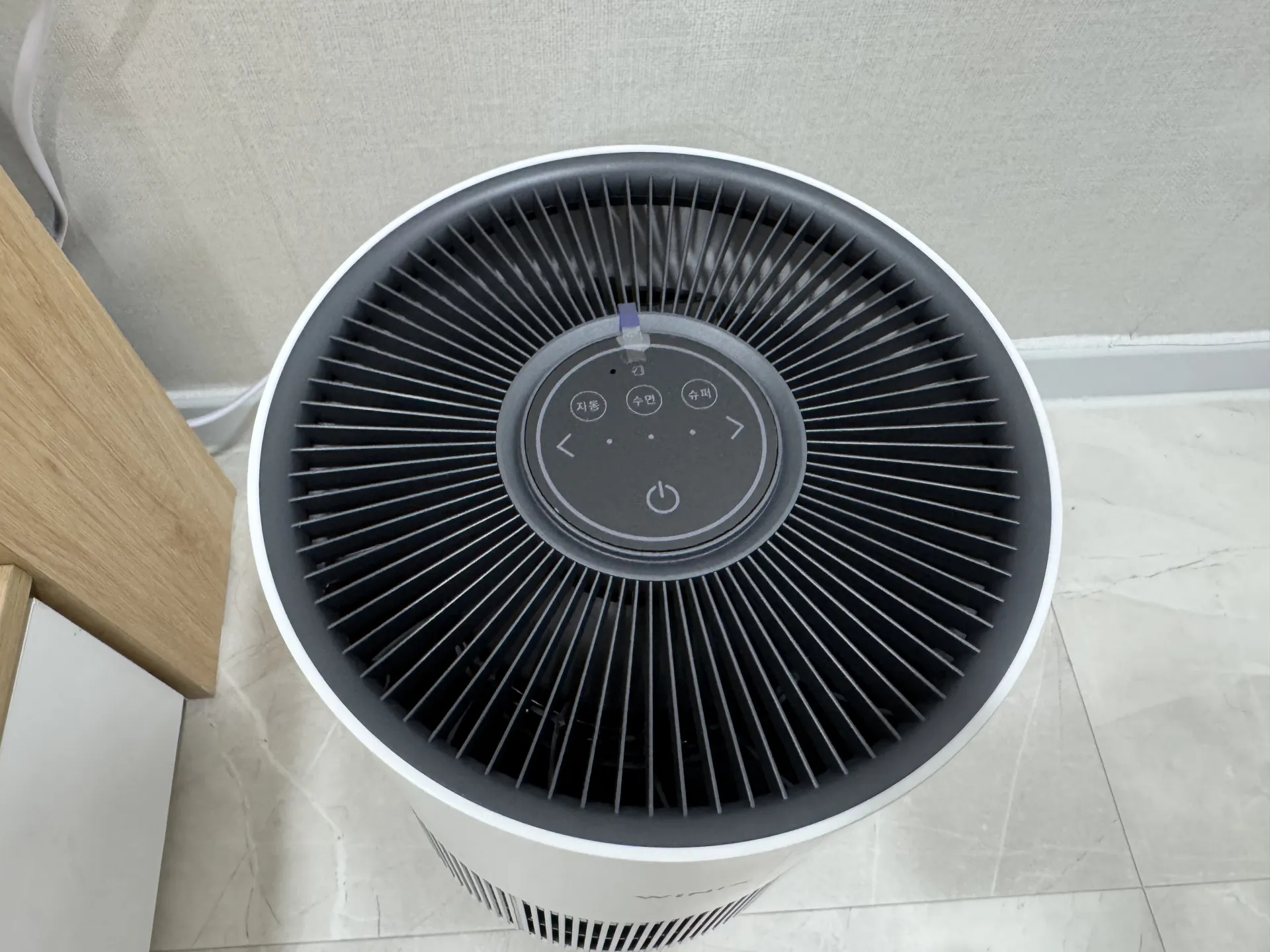IMG_6488.jpeg.webp