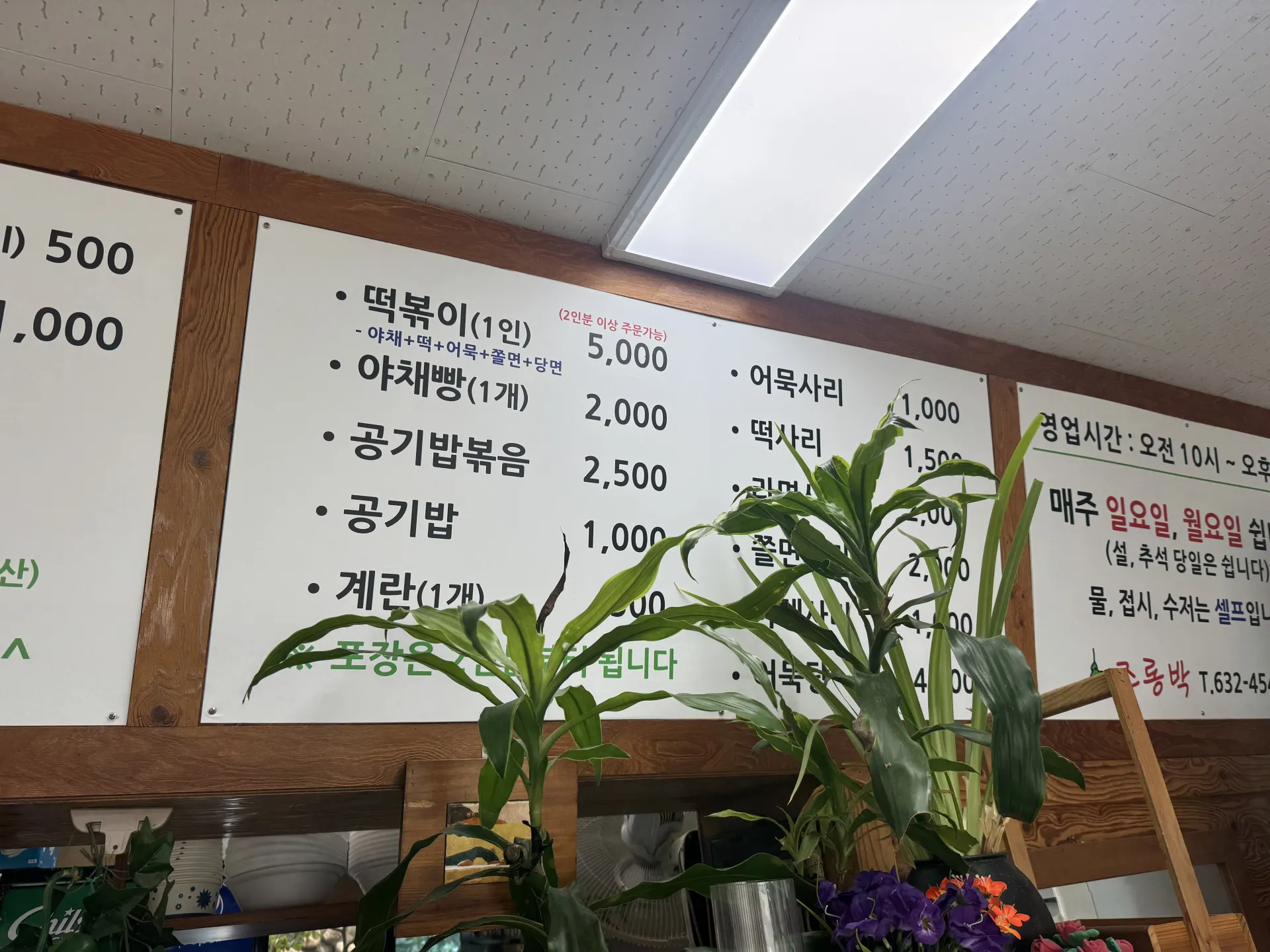 IMG_8677.jpeg.webp