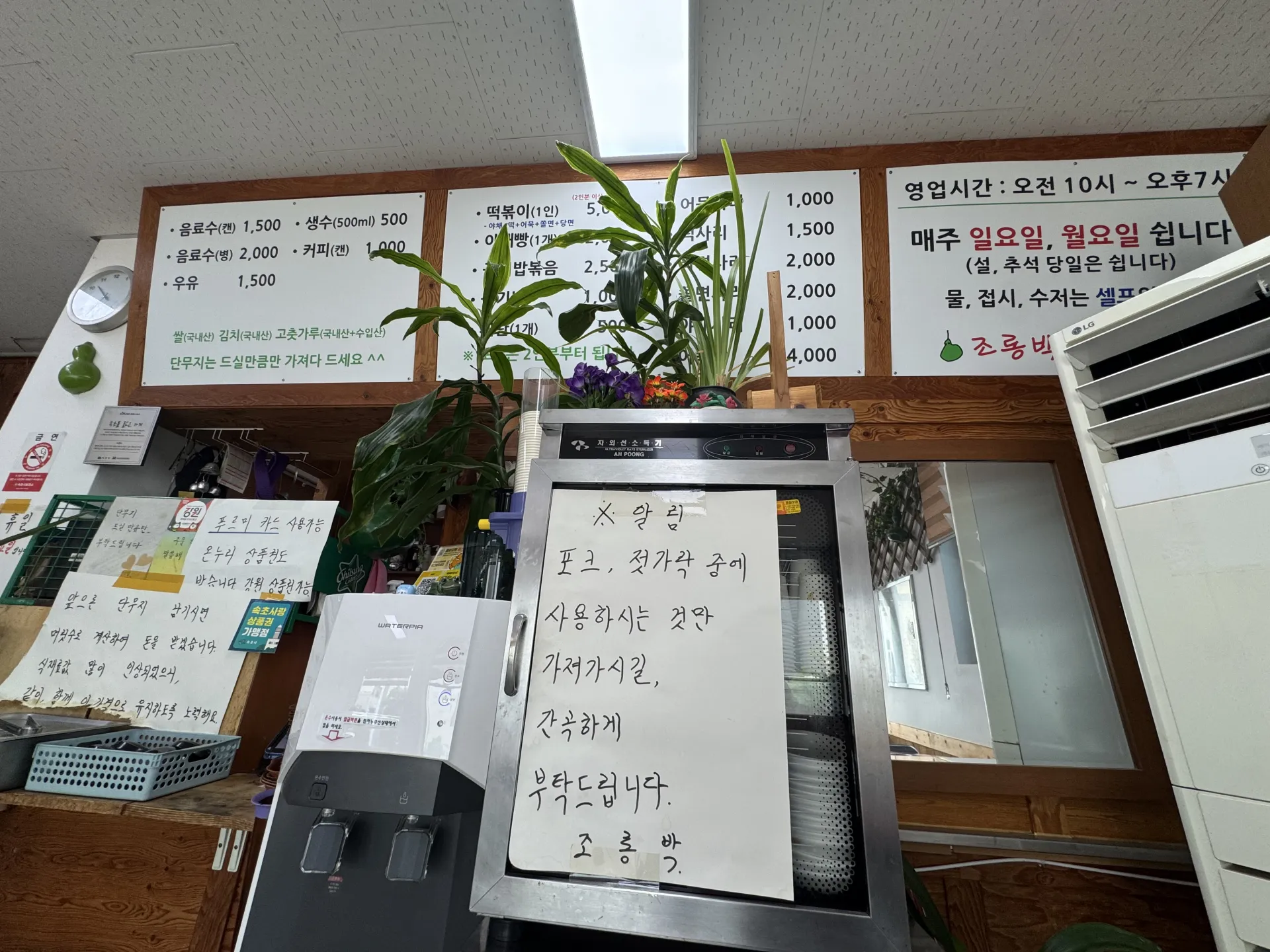 IMG_8676.jpeg.webp